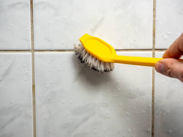 Best Local Mold Removal Service  in Lampasas, TX