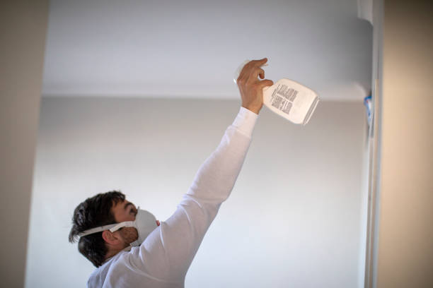 Attic Mold Removal in Lampasas, TX