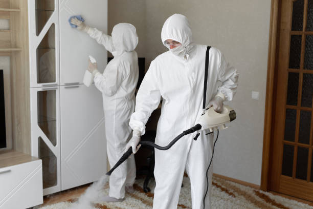 Mold Removal and Inspection in Lampasas, TX